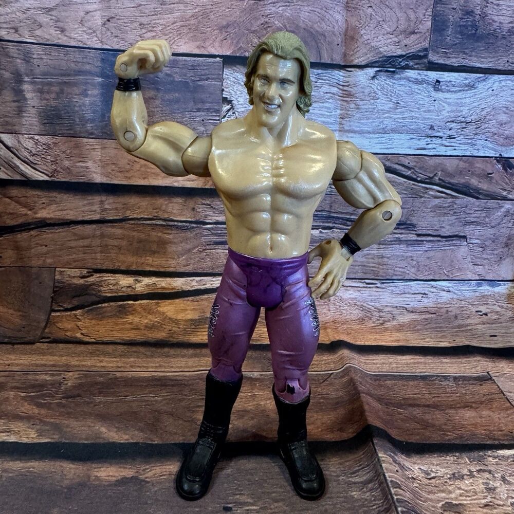 WWE Chris Jericho Y2J 2003 Jakks Pacific Action Figure Purple Tights Loose Flaw